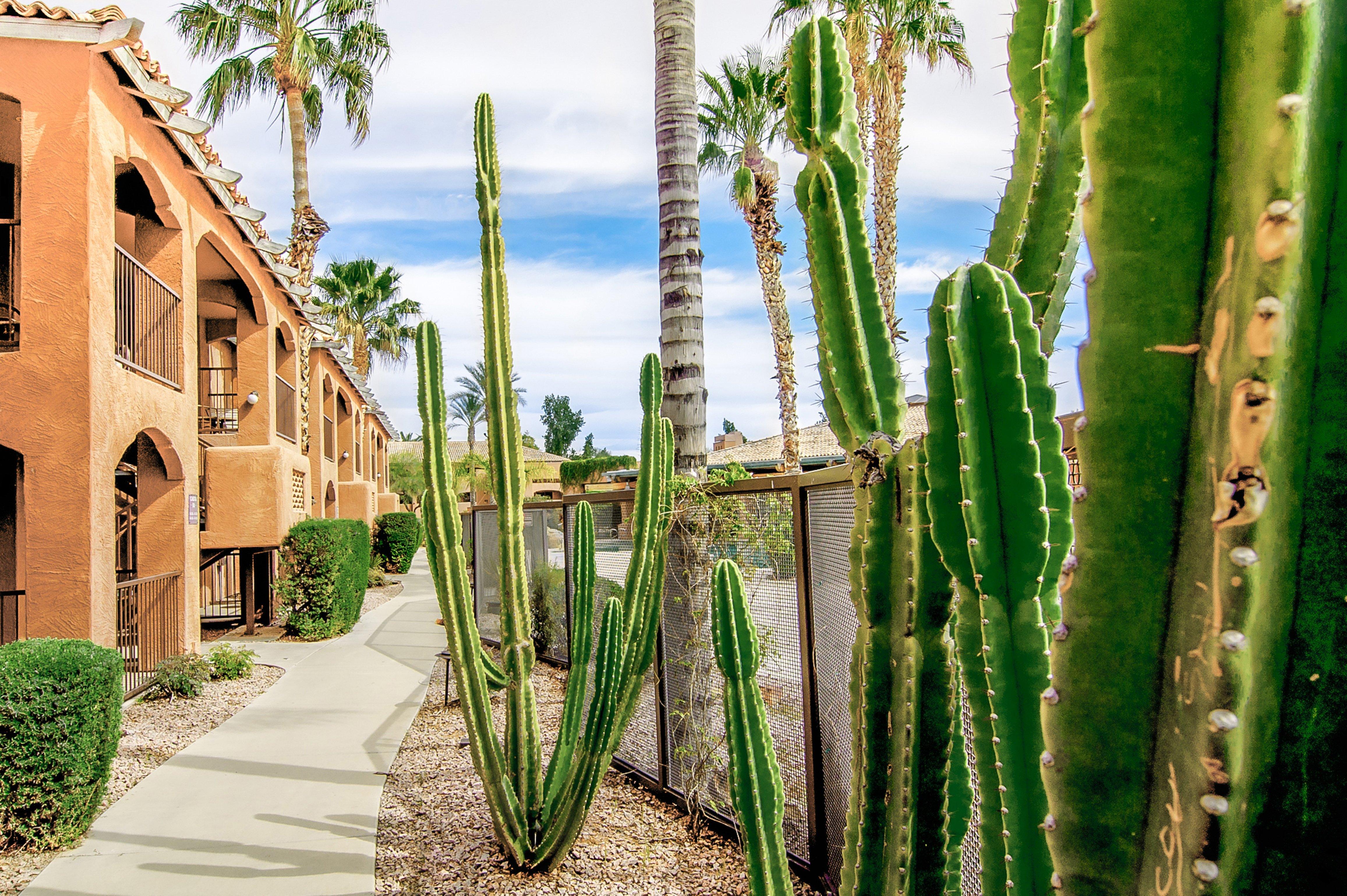 Holiday Inn Club Vacations Scottsdale Resort Exterior photo